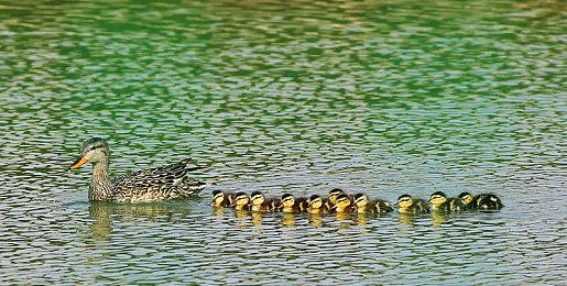 《龙之信条2》销量破330万套 支持PS5 Pro增强